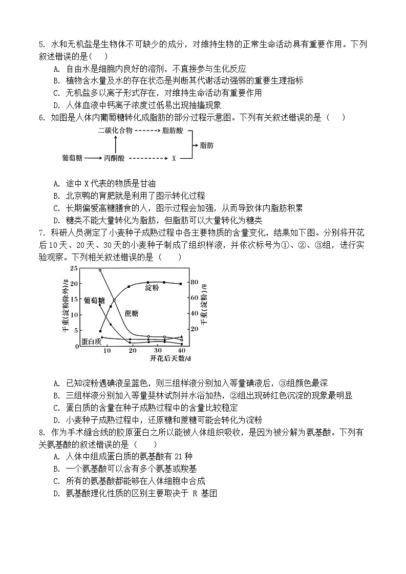 广东省实验中学2024-2025学年高一上学期期中考试生物试题02
