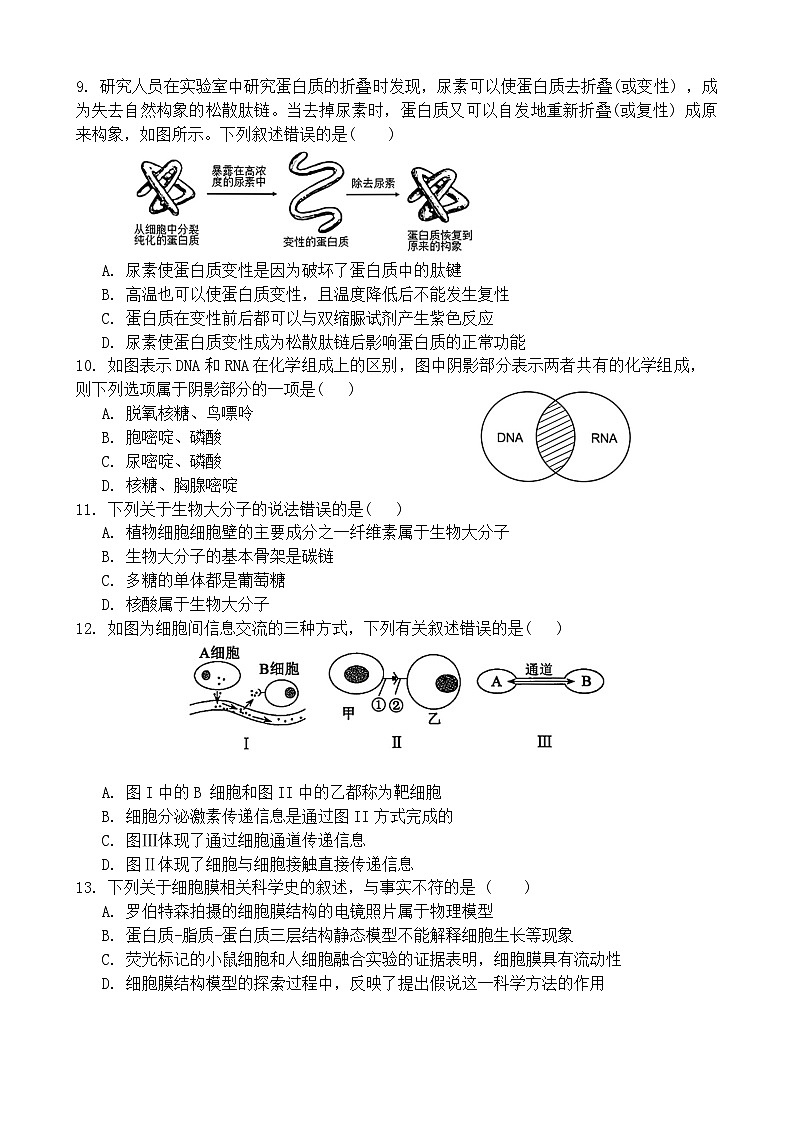 广东省实验中学2024-2025学年高一上学期期中考试生物试题03