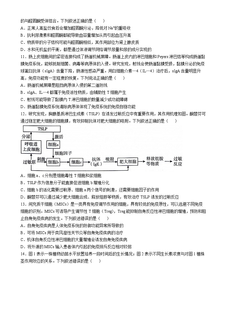 山东省临沂市2024-2025学年高二上学期期中考试生物试题第3页