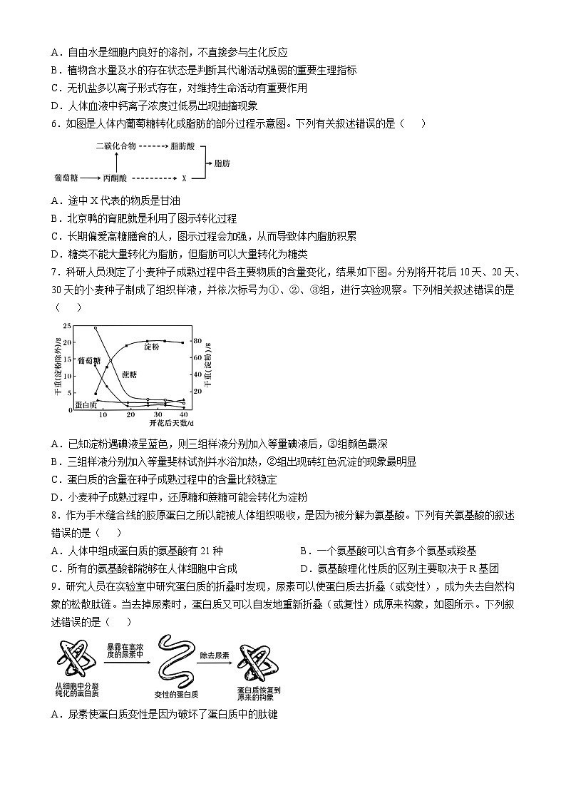 广东省实验中学2024-2025学年高一上学期期中考试生物试题第2页