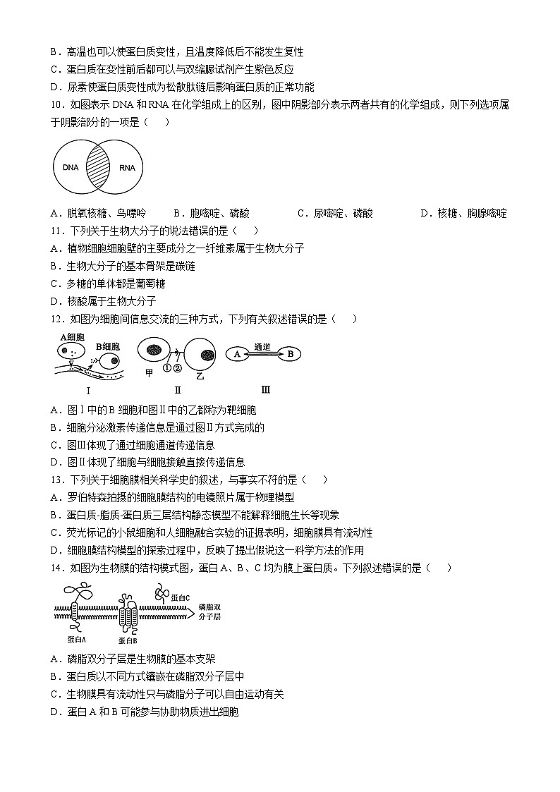 广东省实验中学2024-2025学年高一上学期期中考试生物试题第3页