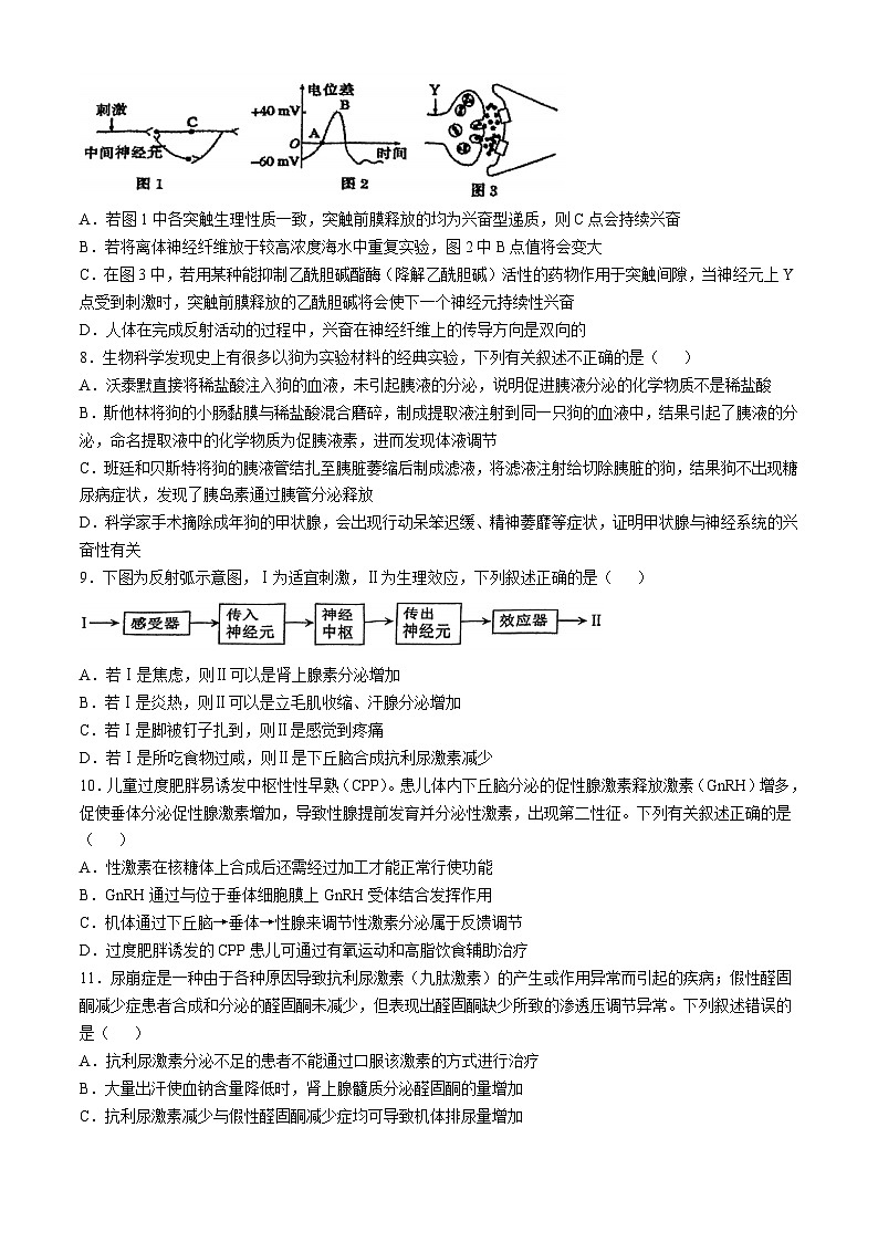 陕西省西安市雁塔区陕西师范大学附属中学2024-2025学年高二上学期期中生物试卷(无答案)第3页