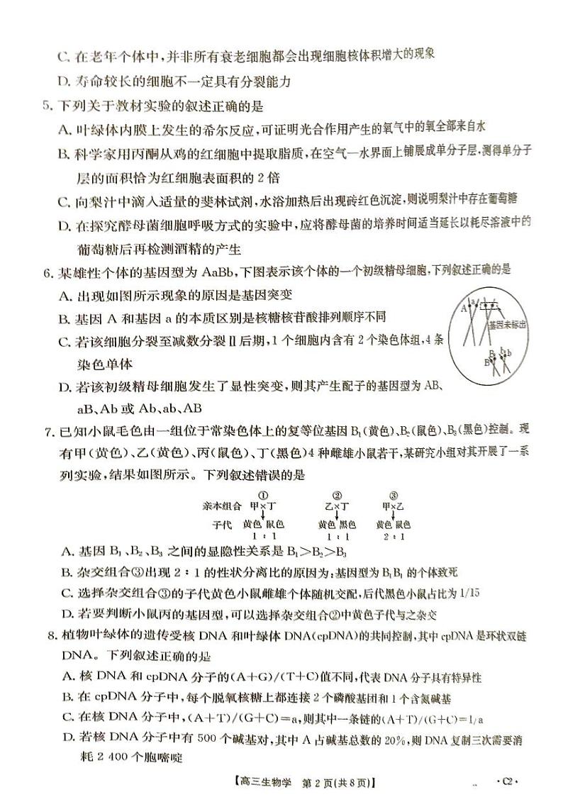 高三生物试卷第2页