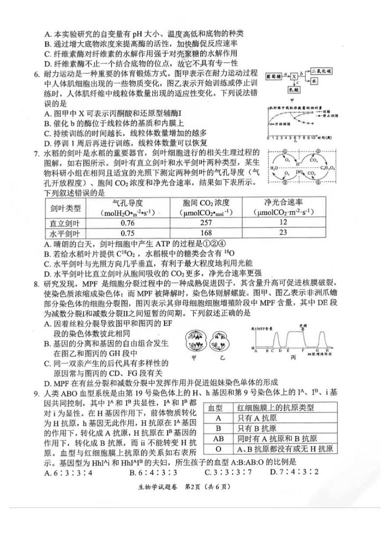 2025届四川省绵阳市高三第一次诊断性考试生物试卷第2页