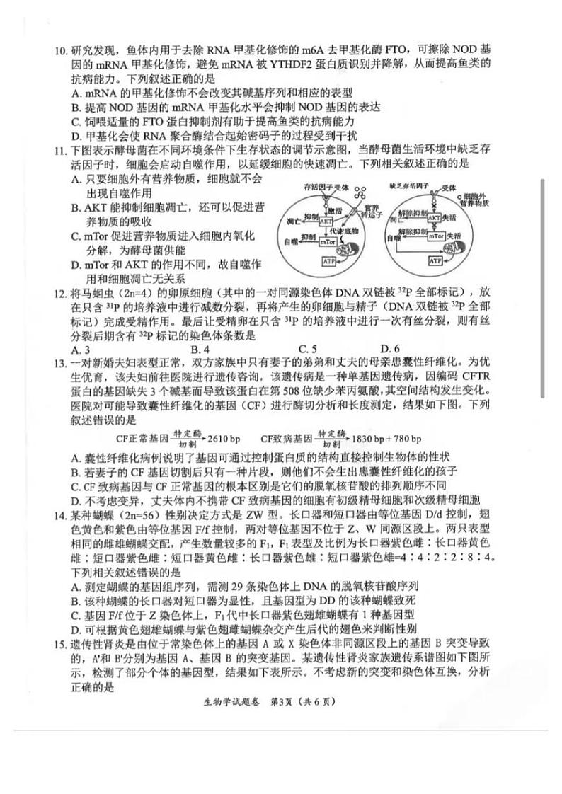 2025届四川省绵阳市高三第一次诊断性考试生物试卷第3页