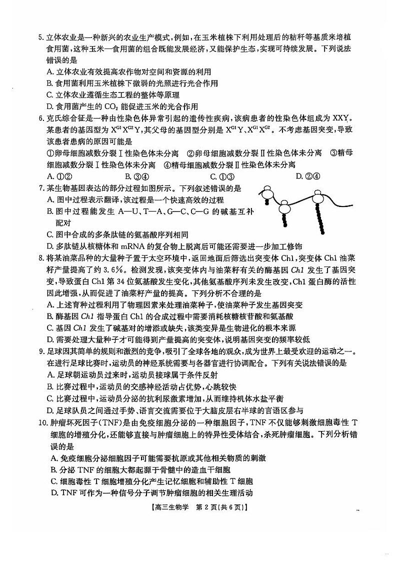 甘肃省兰州市第五十八中学2024-2025学年高三上学期高考模拟生物试题第2页