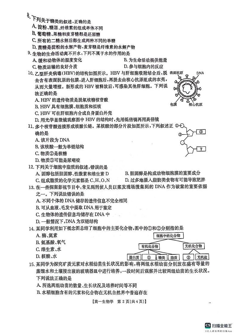 贵州省六盘水市水城区2024-2025学年高一上学期期中考试生物试题第2页