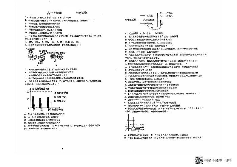 黑龙江省伊春市南岔县南岔县高级中学（伊春市第二中学）2024-2025学年高一上学期11月期中生物试题第1页