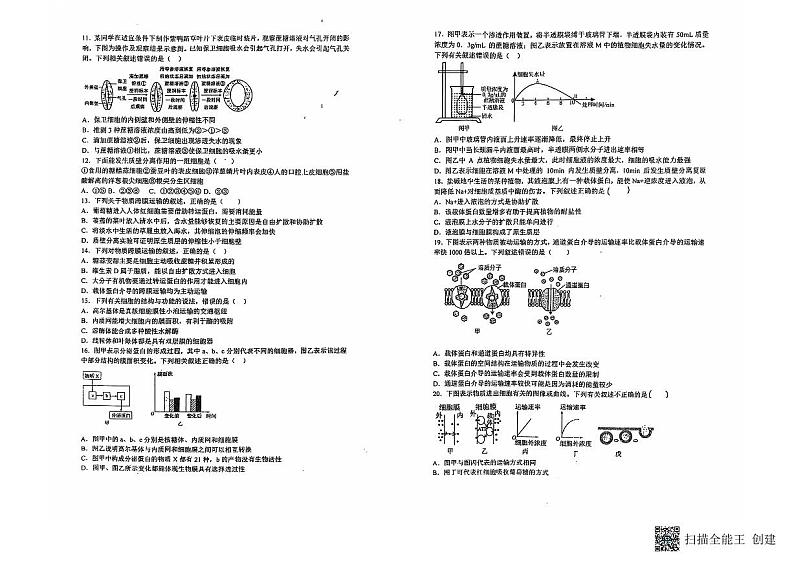 黑龙江省伊春市南岔县南岔县高级中学（伊春市第二中学）2024-2025学年高一上学期11月期中生物试题第2页