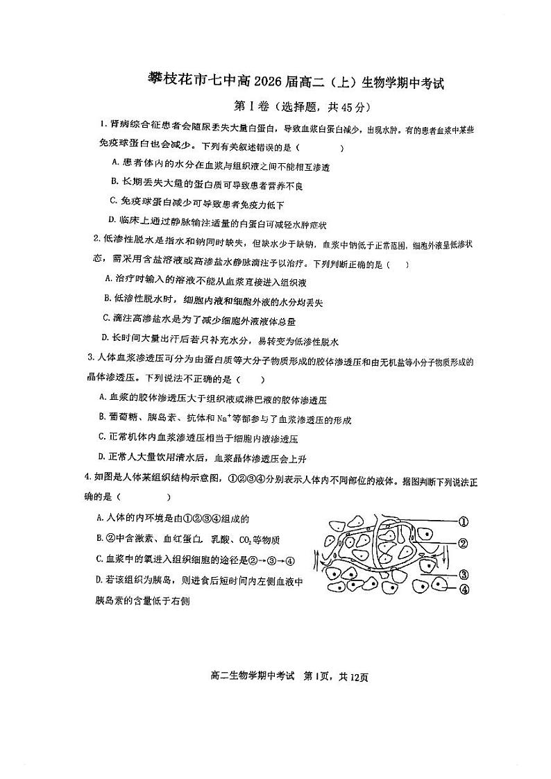 四川省攀枝花市七中2024-2025学年高二上学期期中考试生物试卷第1页