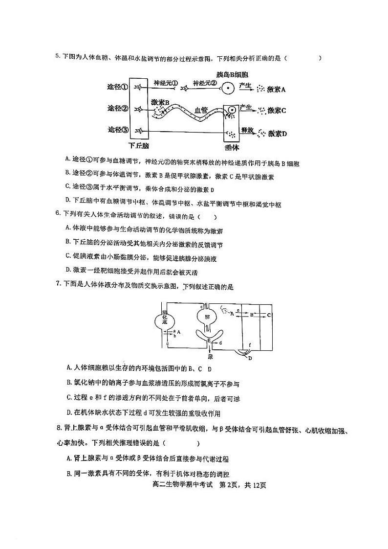 四川省攀枝花市七中2024-2025学年高二上学期期中考试生物试卷第2页