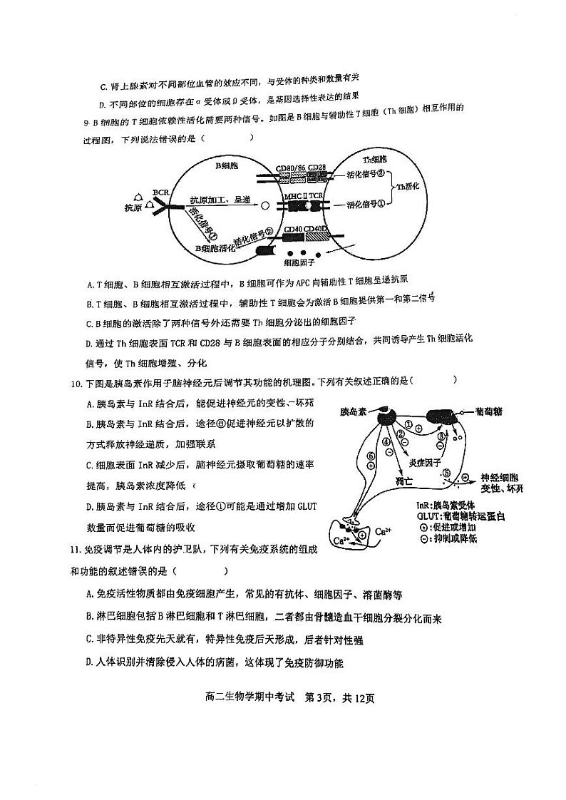 四川省攀枝花市七中2024-2025学年高二上学期期中考试生物试卷第3页