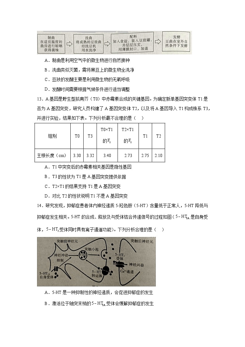 广东省2025届普通高中毕业班第二次调研考试生物试卷第3页