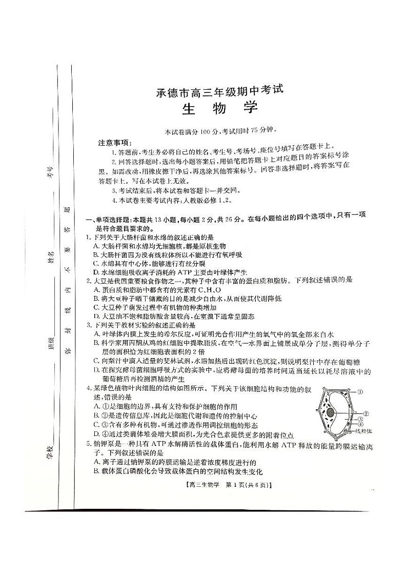 河北省承德市2024-2025学年高三上学期期中考试生物试卷第1页