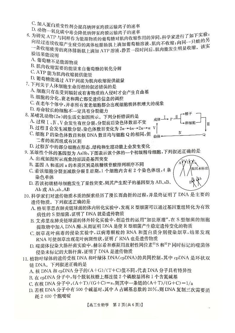 河北省承德市2024-2025学年高三上学期期中考试生物试卷第2页