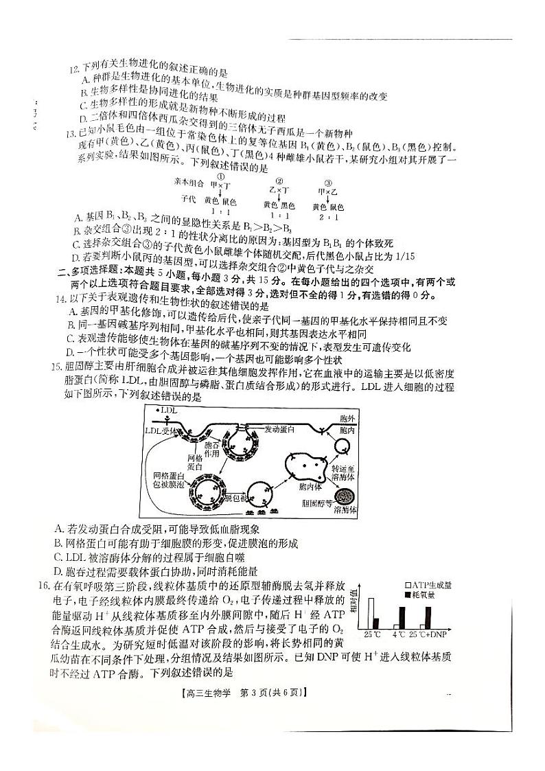 河北省承德市2024-2025学年高三上学期期中考试生物试卷第3页