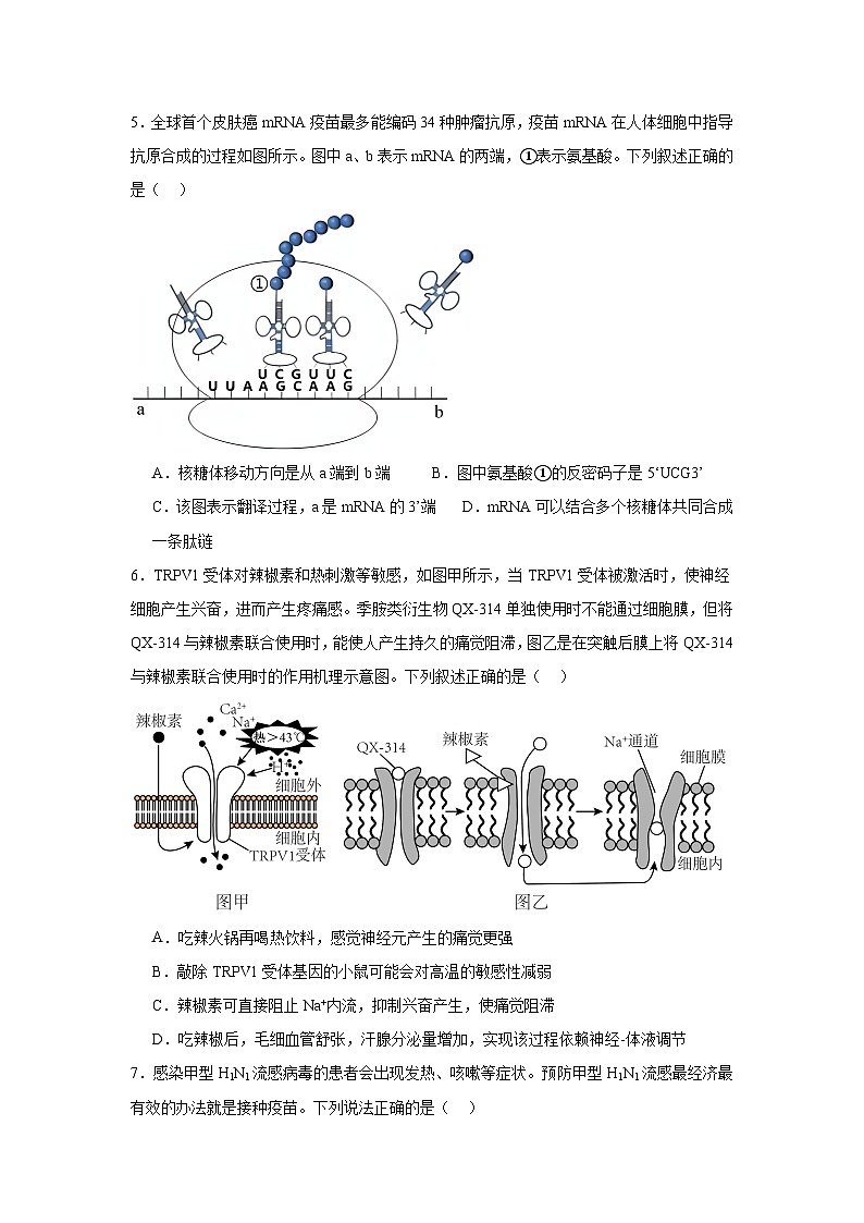 江西省上饶市私立世龙中学2024-2025学年高三上学期11月生物学检测卷第3页