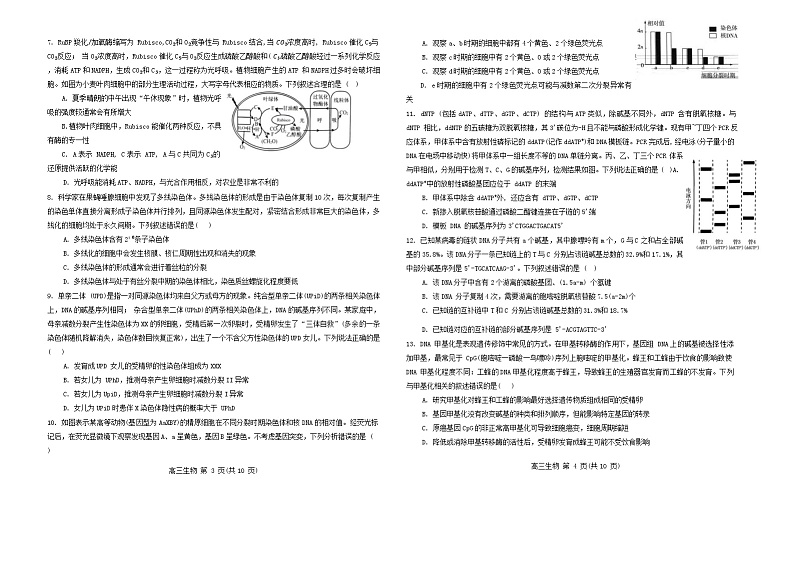 山东省青岛第十九中学2024-2025学年高三上学期11月期中考试生物试题第2页