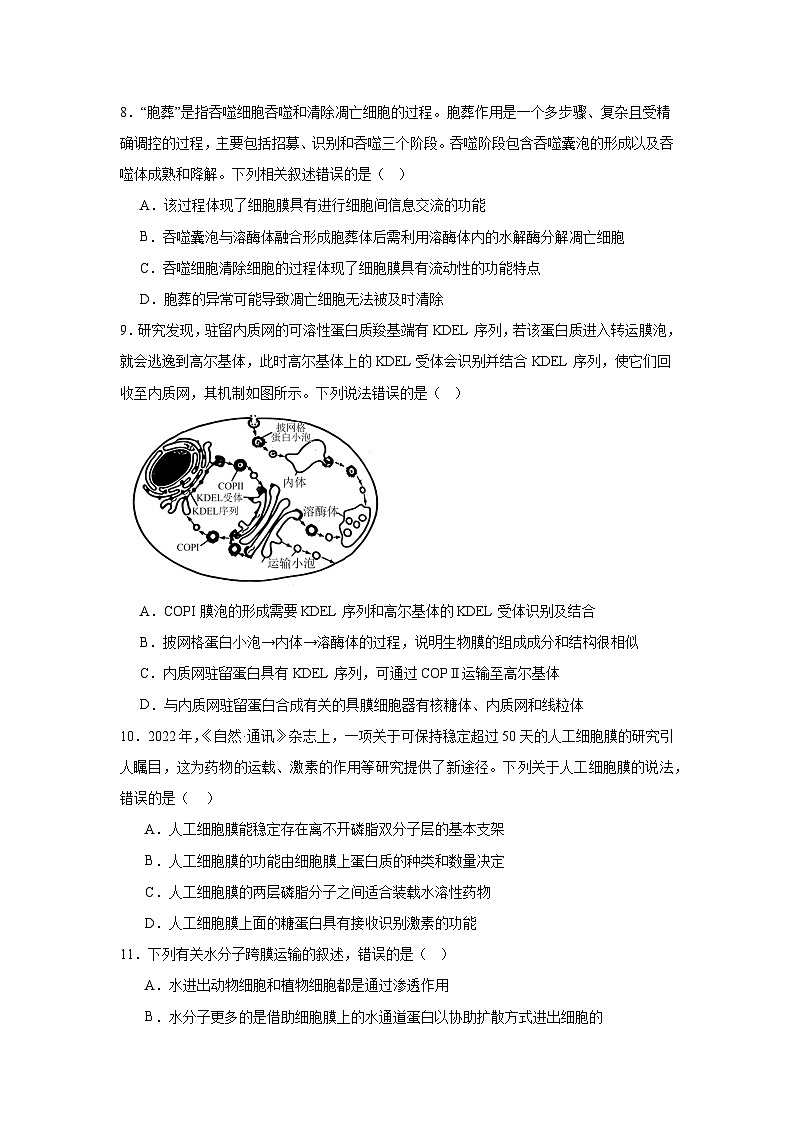 湖南省岳阳市云溪区2024-2025学年高一上学期11月期中生物试题第3页