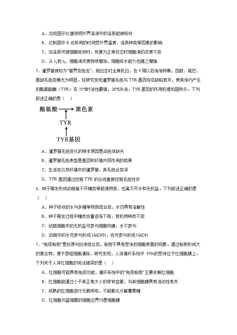 湖南省岳阳市云溪区2024-2025学年高三上学期11月期中生物试题第2页
