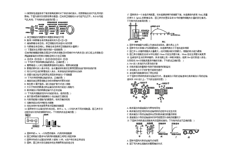 黑龙江省伊春市南岔县高级中学（伊春市第二中学）2024-2025学年高一上学期11月期中生物试题第2页