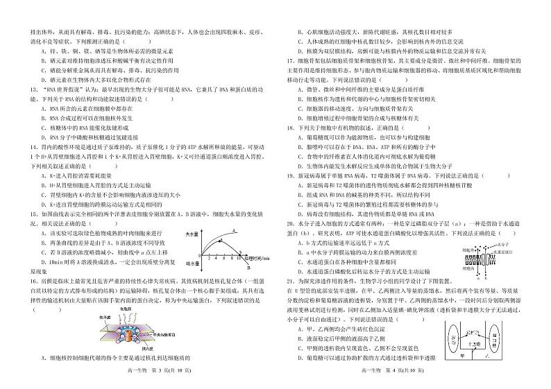 山东省青岛第十九中学2024-2025学年高一上学期11月期中考试生物试题02
