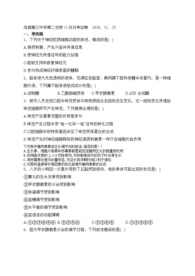 河北省沧州市沧县第三中学2024-2025学年高二上学期11月月考生物试卷第1页