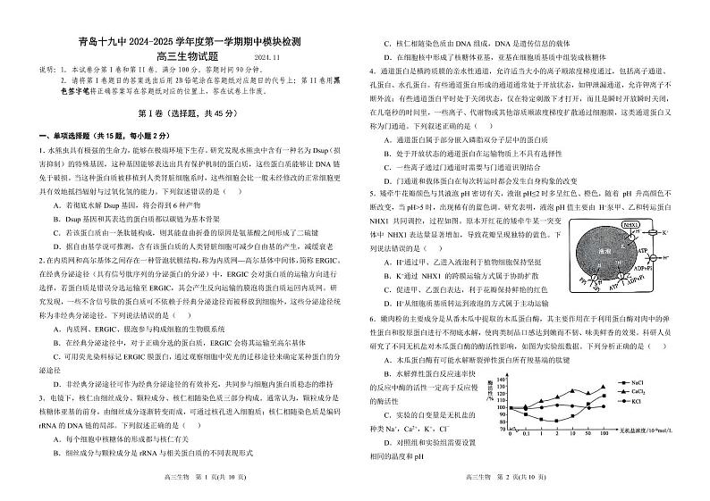 山东省青岛第十九中学2024-2025学年高三上学期11月期中考试生物试题第1页
