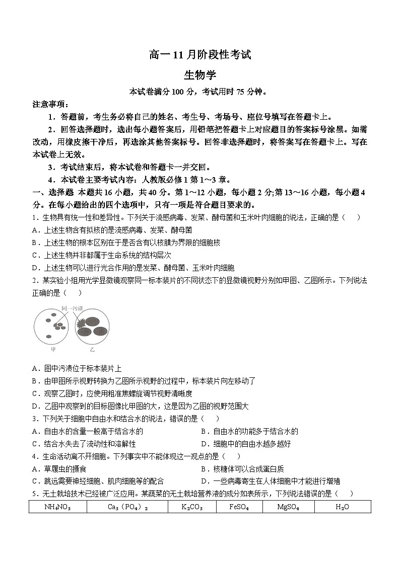 广西名校联盟2024-2025学年高一上学期11月期中阶段性考试生物试题01