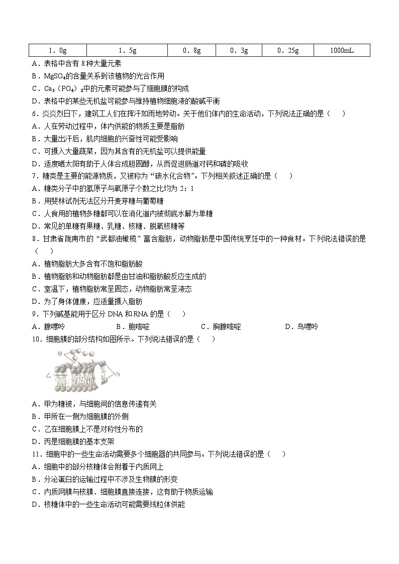 广西名校联盟2024-2025学年高一上学期11月期中阶段性考试生物试题02