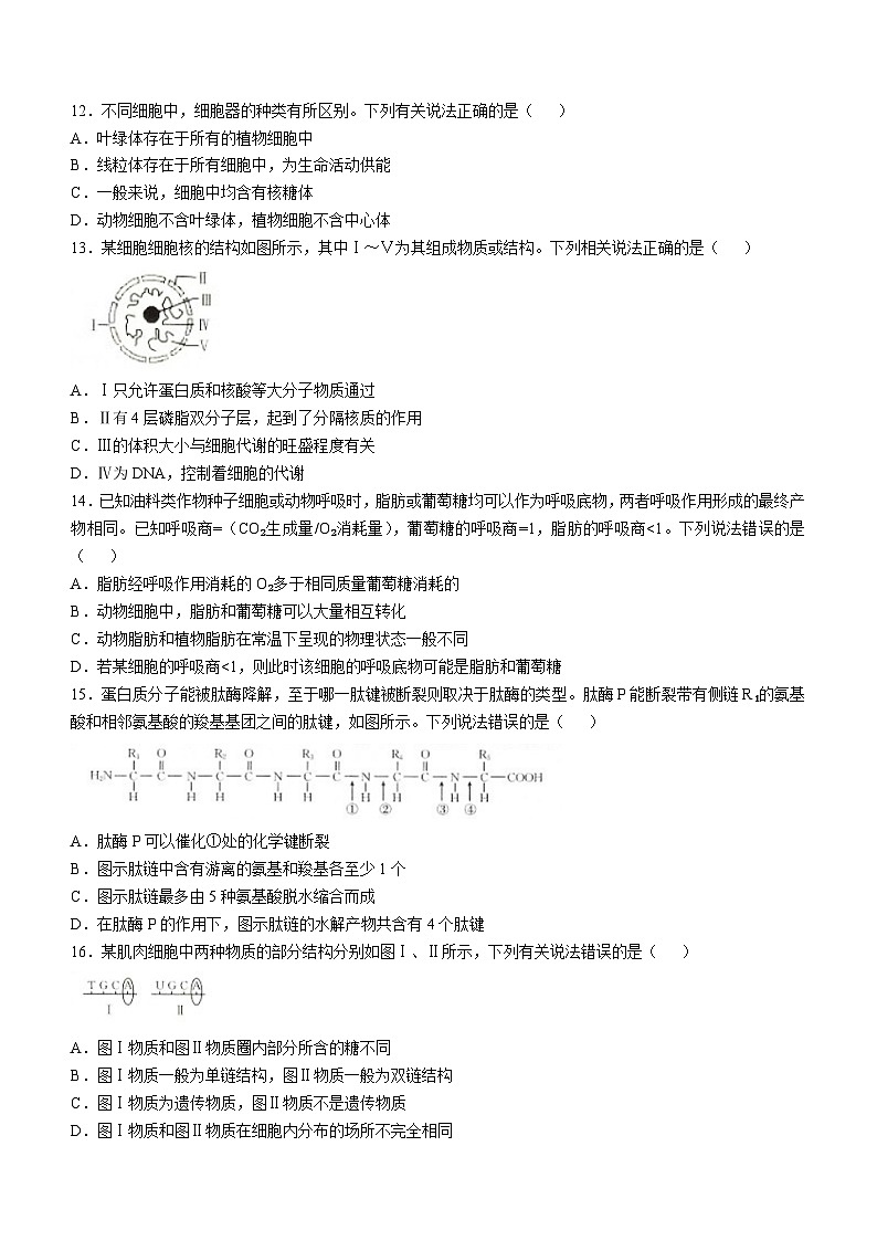 广西名校联盟2024-2025学年高一上学期11月期中阶段性考试生物试题03