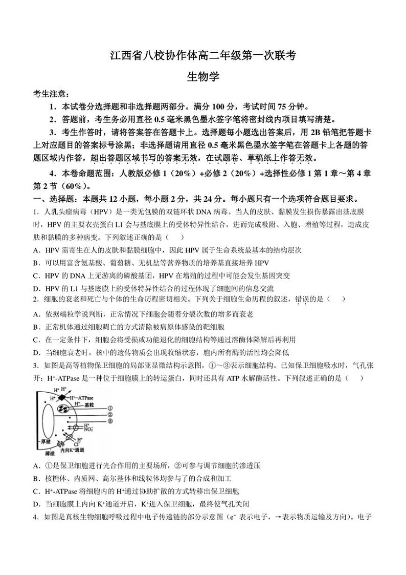 江西省八校协作体2024～2025学年高二(上)第一次联考生物试卷(含答案)第1页