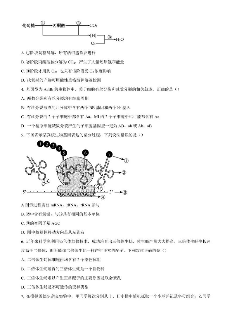 浙江省杭州市等4地2024～2025学年高二(上)期中联考生物试卷(含答案)第2页