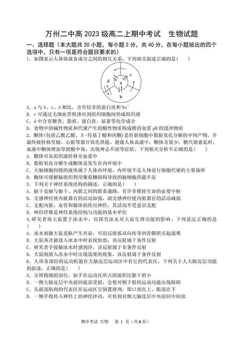 重庆市万州二中2024～2025学年高二(上)期中生物试卷(含答案)第1页