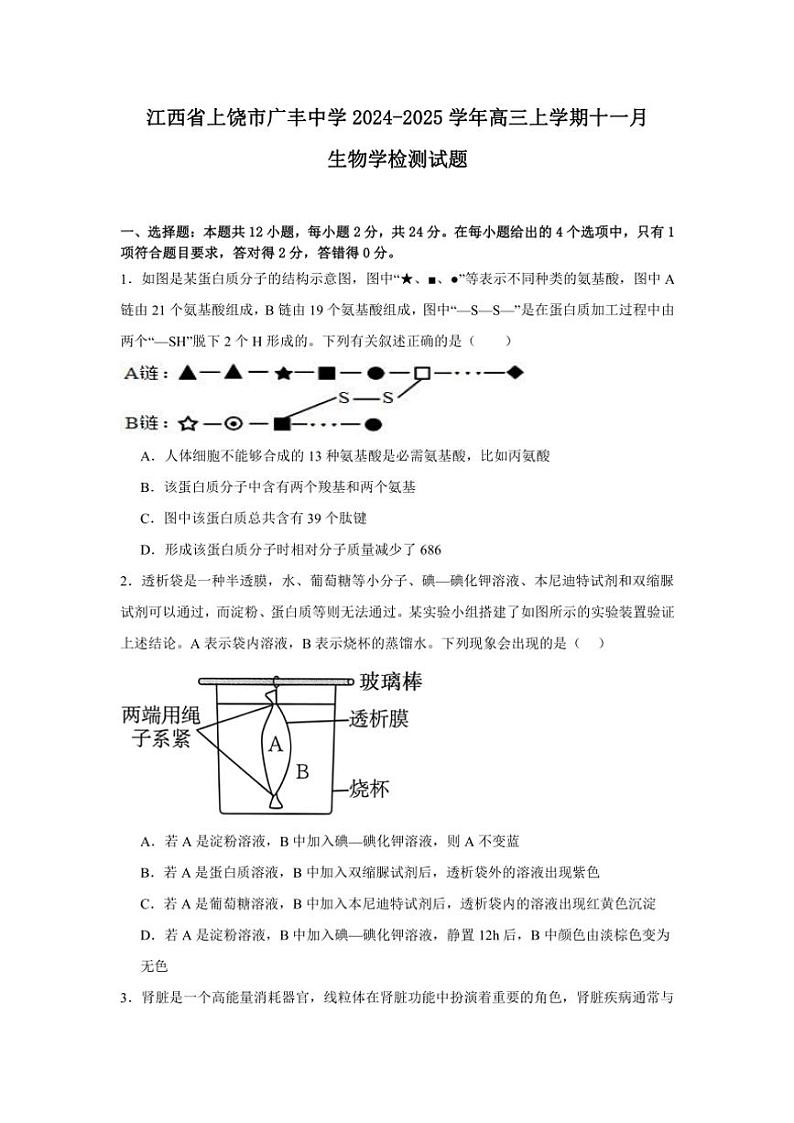 江西省上饶市广丰中学2024～2025学年高三(上)十一月生物检测试卷(含答案)第1页