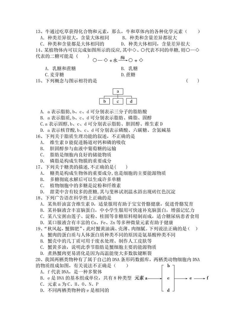 四川省2024～2025学年高一(上)期中生物试卷(含答案)第3页