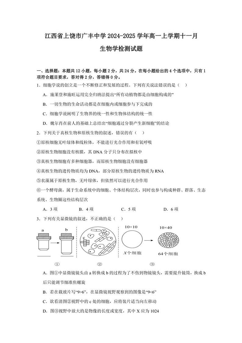 江西省上饶市广丰中学2024～2025学年高一(上)十一月生物检测试卷(含答案)第1页
