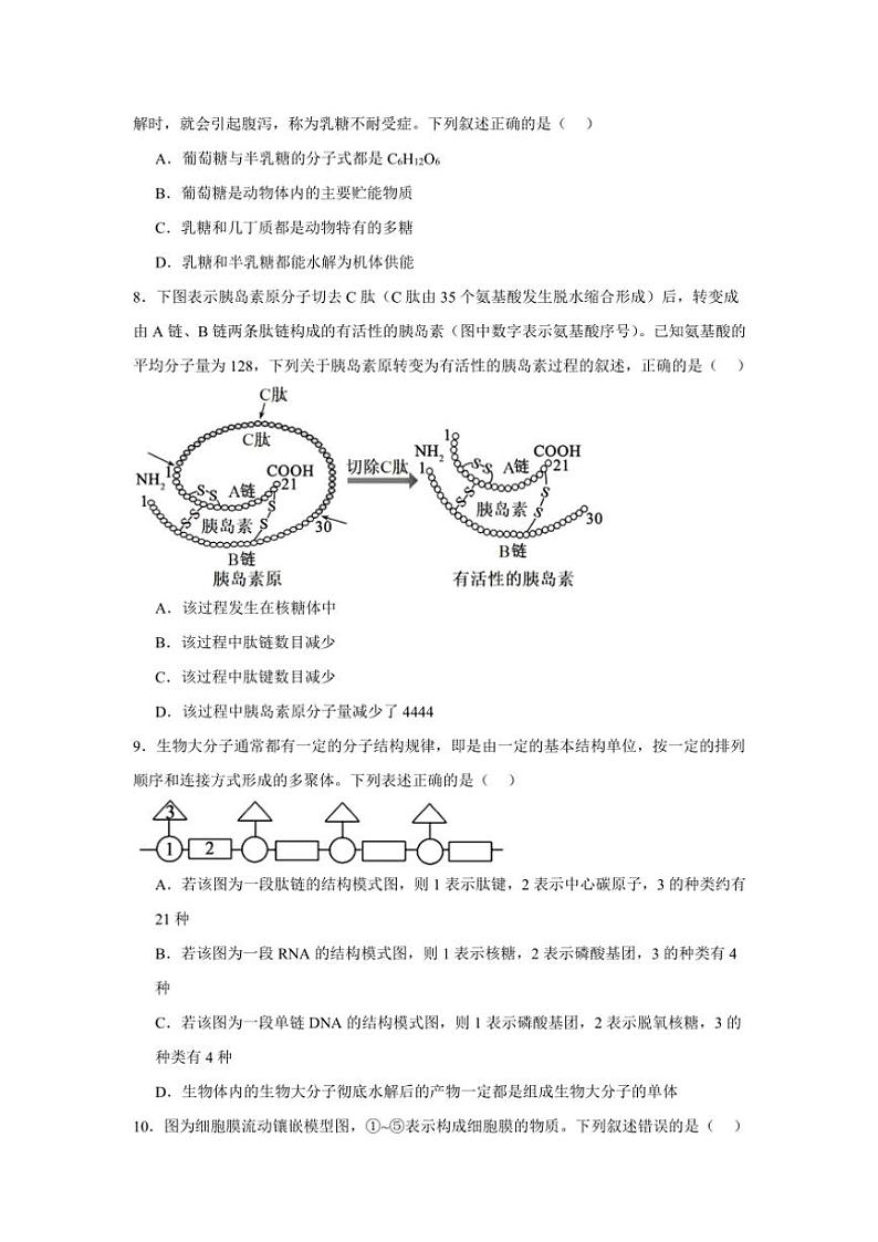 江西省上饶市广丰中学2024～2025学年高一(上)十一月生物检测试卷(含答案)第3页