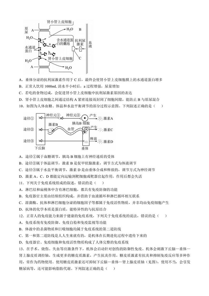 云南省昆明市寻甸回族彝族自治县第一中学2024～2025学年高二(上)期中生物试卷(含解析)第3页