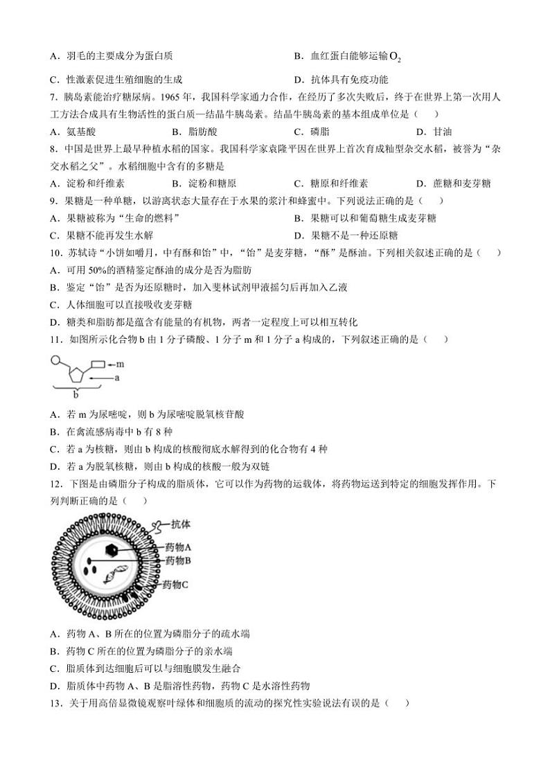 贵州省黔东南苗族侗族自治州榕江县榕江实验高级中学2024～2025学年高一(上)期中生物试卷(含答案)第2页