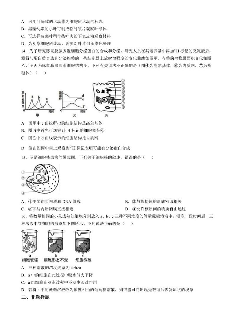 贵州省黔东南苗族侗族自治州榕江县榕江实验高级中学2024～2025学年高一(上)期中生物试卷(含答案)第3页