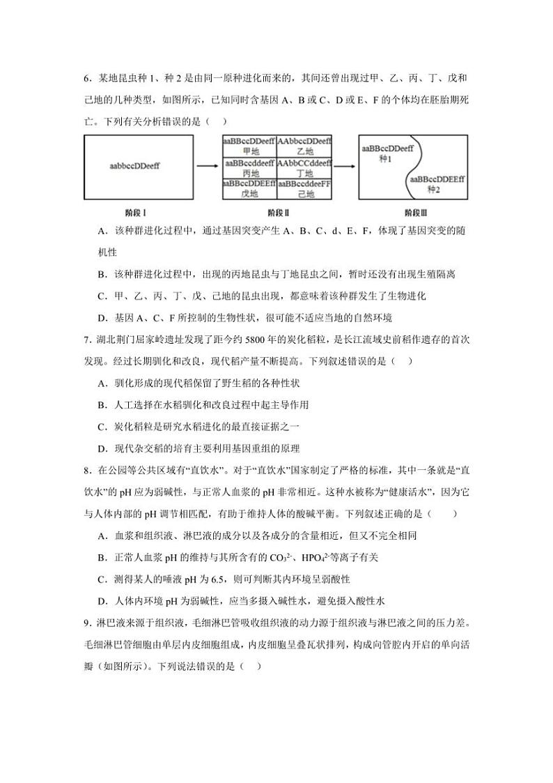 湖南省岳阳市岳阳县第一中学2024～2025学年高二(上)期中生物试卷(含答案)02