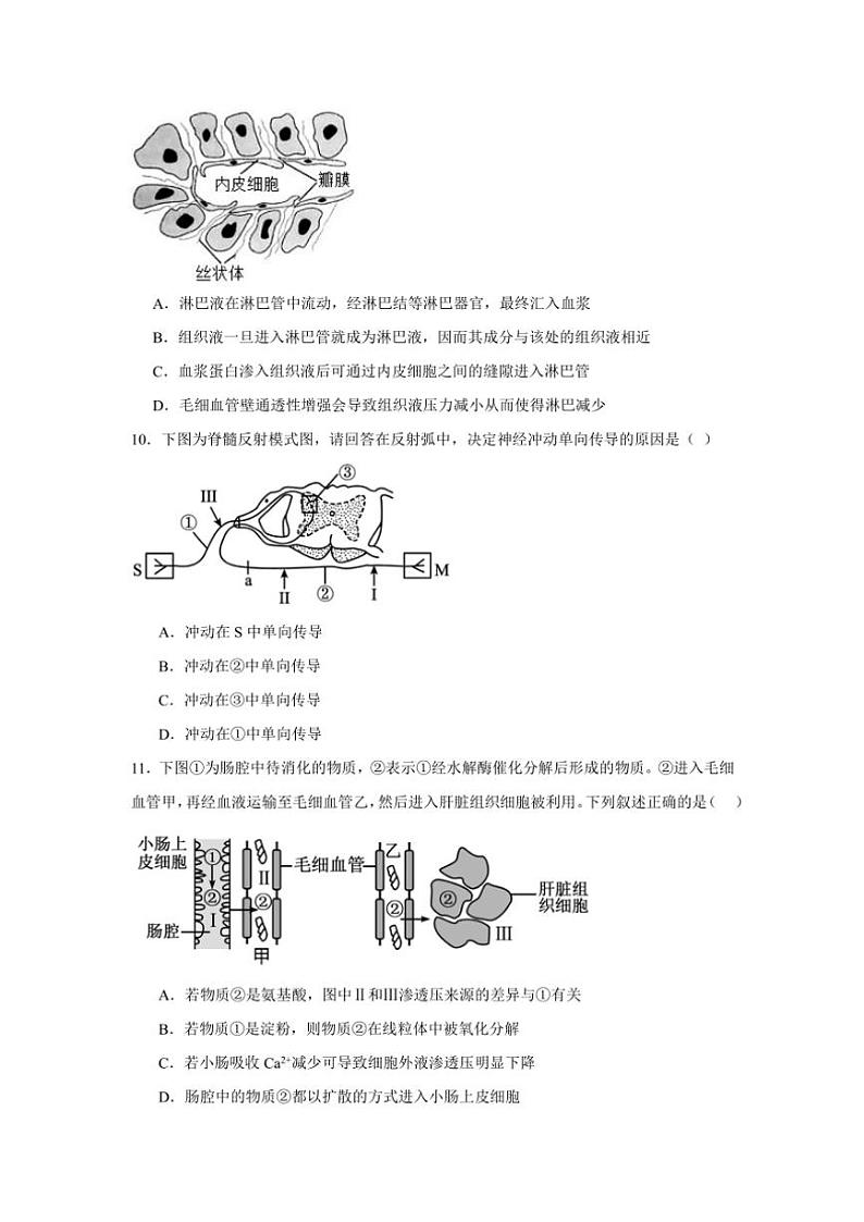 湖南省岳阳市岳阳县第一中学2024～2025学年高二(上)期中生物试卷(含答案)03