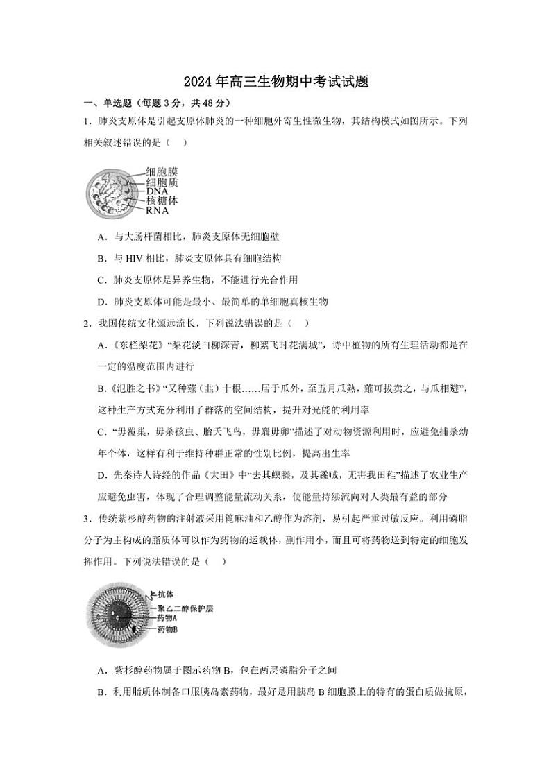 湖南省岳阳市岳阳县第一中学2024～2025学年高三(上)期中生物试卷(含答案)01