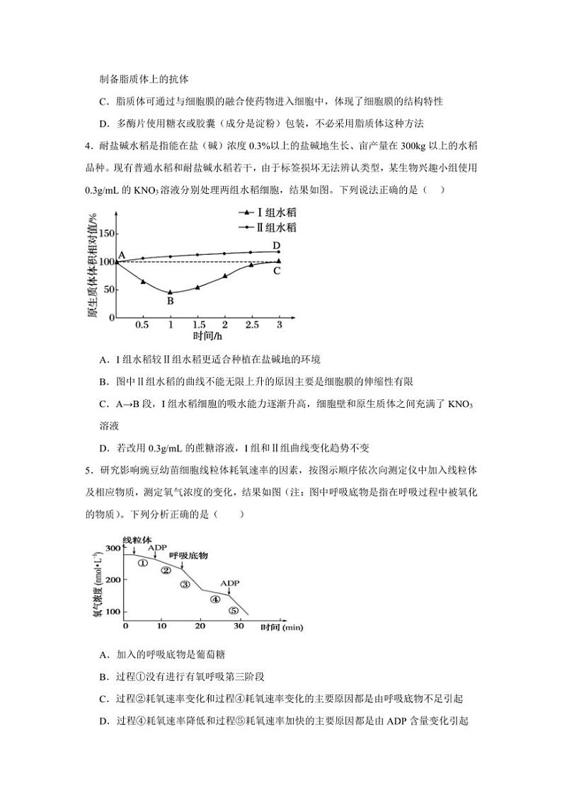 湖南省岳阳市岳阳县第一中学2024～2025学年高三(上)期中生物试卷(含答案)02
