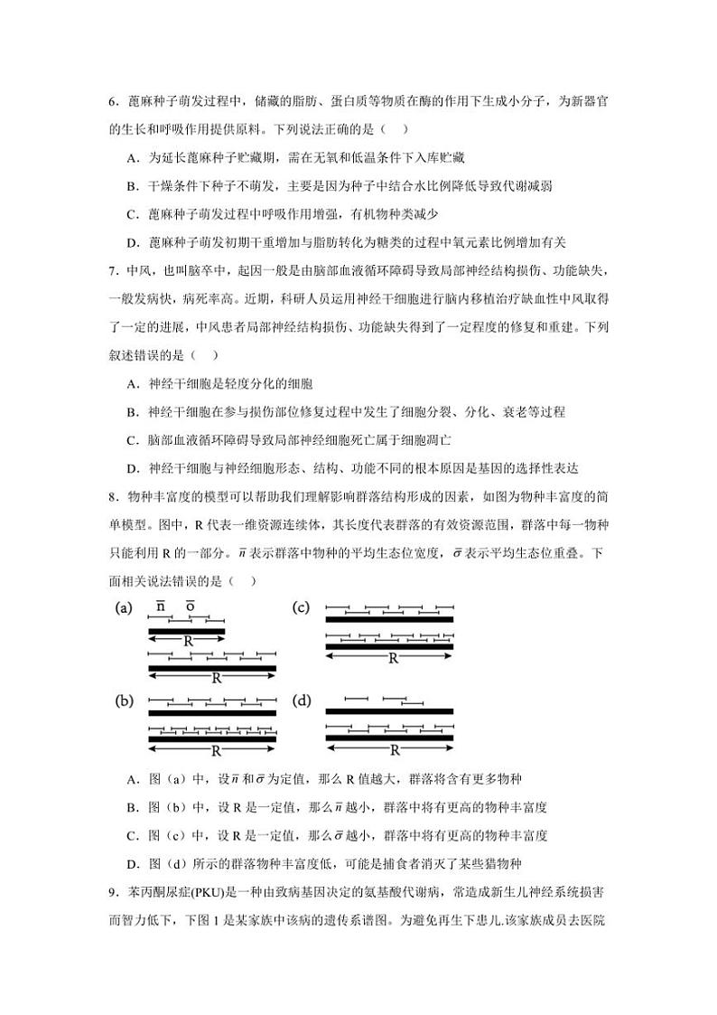 湖南省岳阳市岳阳县第一中学2024～2025学年高三(上)期中生物试卷(含答案)03