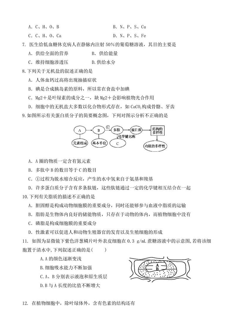福建省龙岩市侨育中学2024～2025学年高一(上)期中生物试卷(含答案)第2页