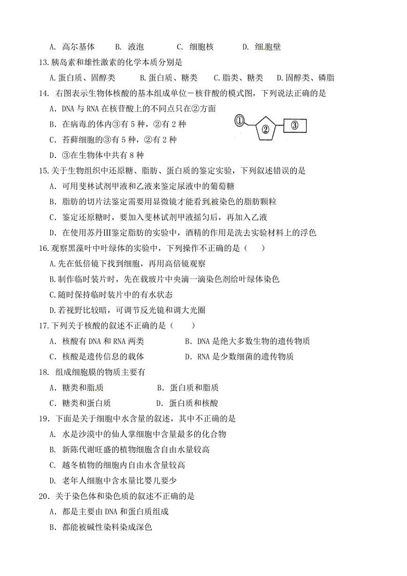 福建省龙岩市侨育中学2024～2025学年高一(上)期中生物试卷(含答案)第3页