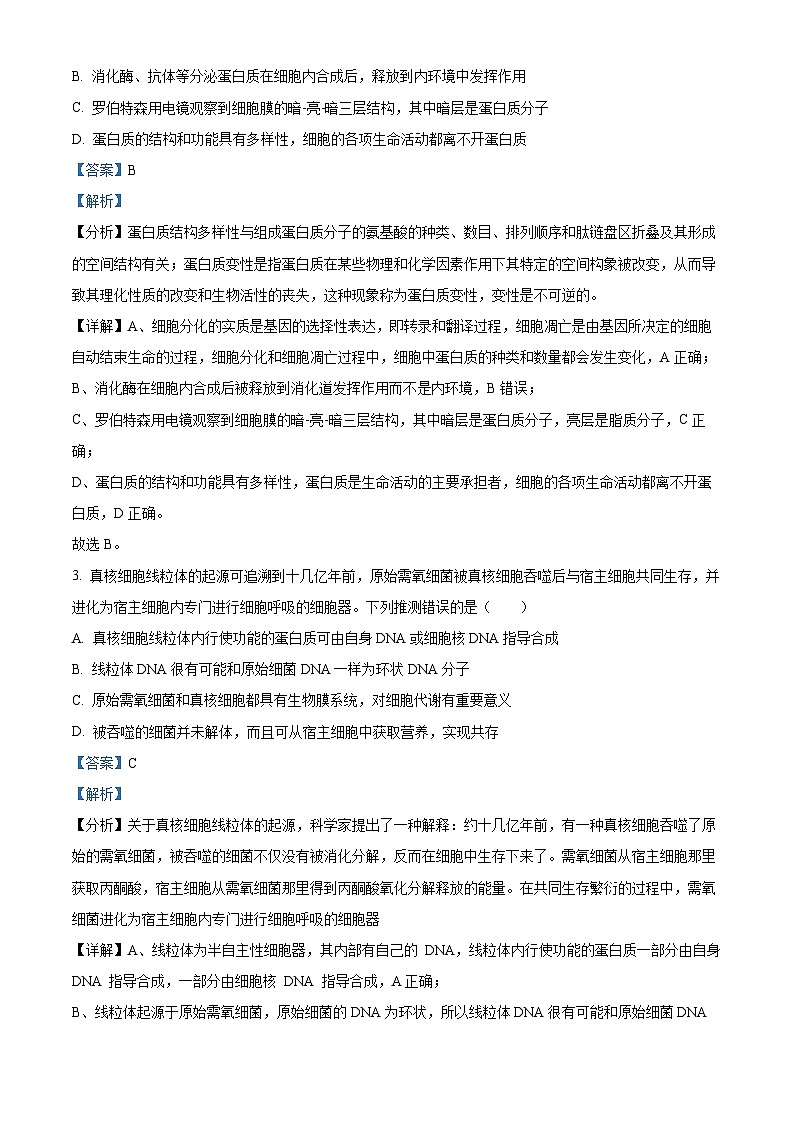 湖北省新高考协作体2024-2025学年高三上学期11月期中生物试题 含解析第2页