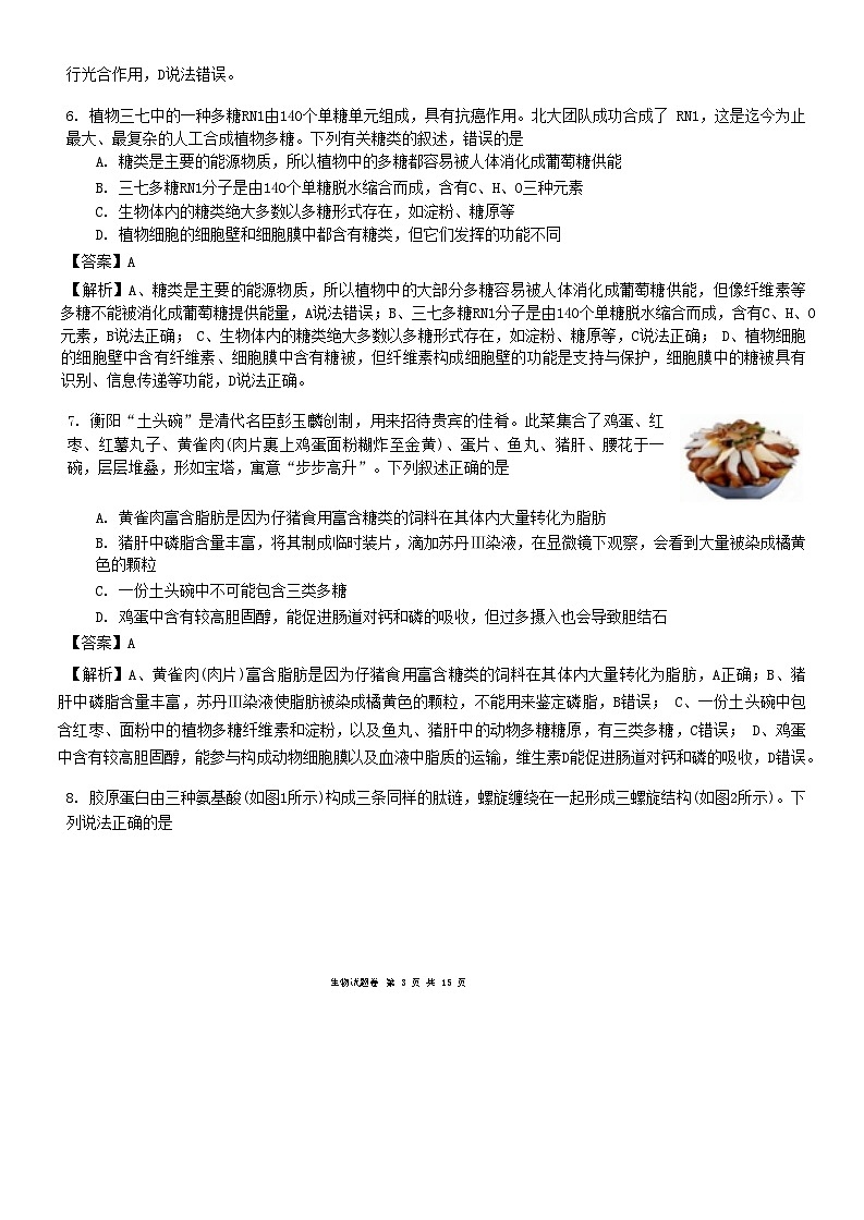湖南省湖湘教育三新探索协作体（A佳教育）2024-2025学年高一上学期11月期中大联考生物试题 含解析03